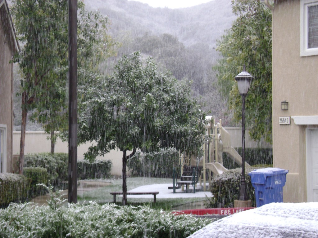 snow 004