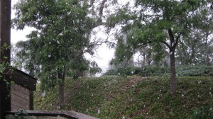 IMG_0882-1