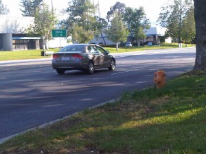 IMG00014-20100518-1758