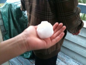 photo (1)