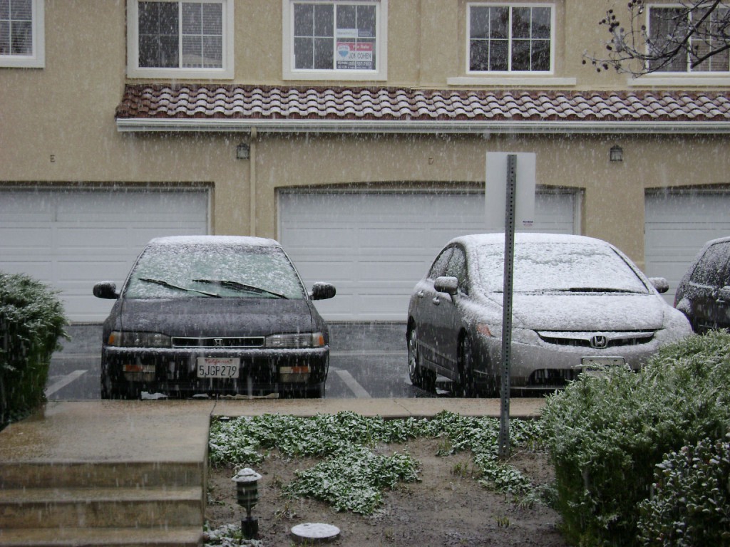 snow 003